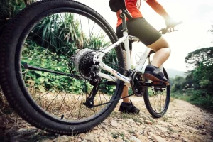 best road tires for 29er mountain bike